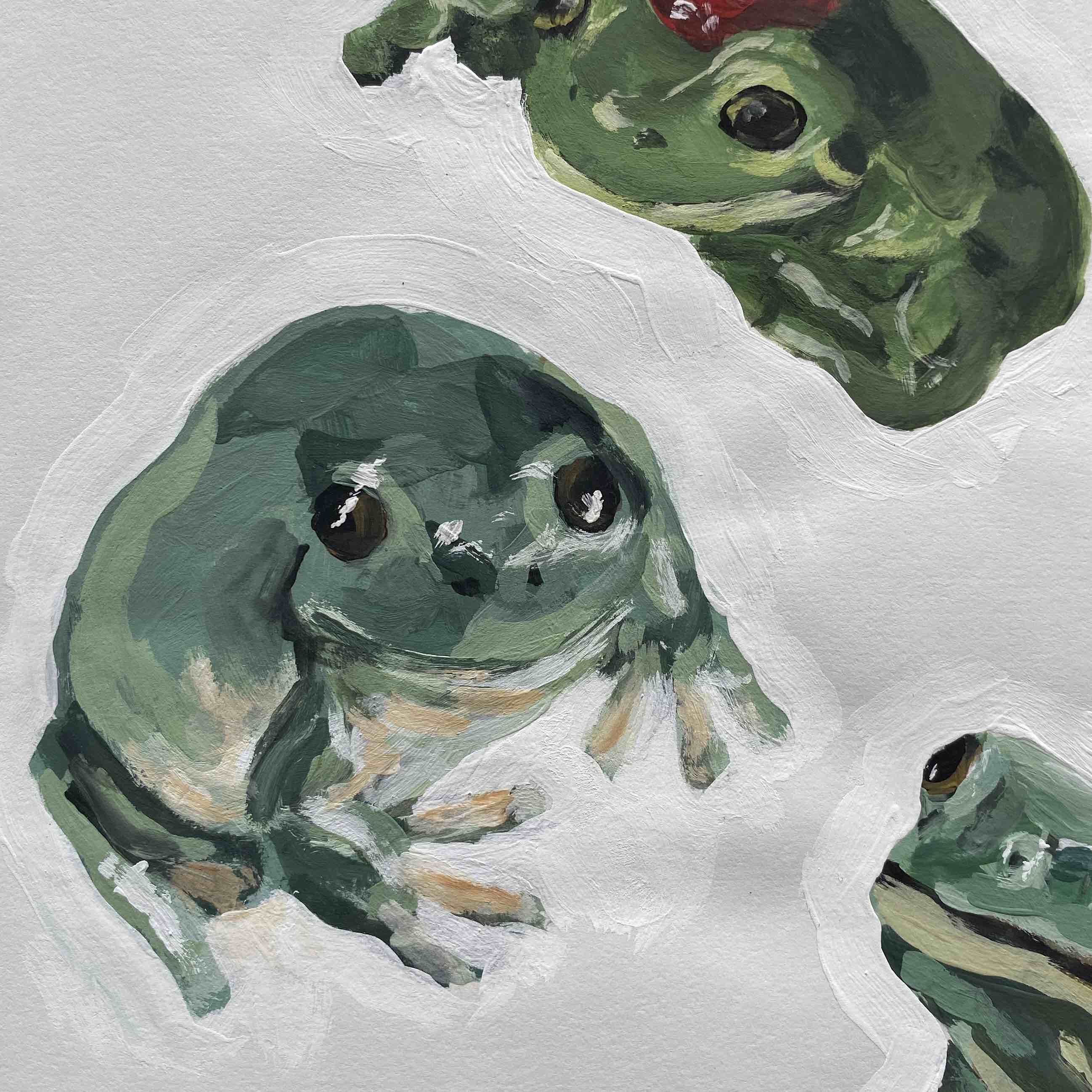 frogs