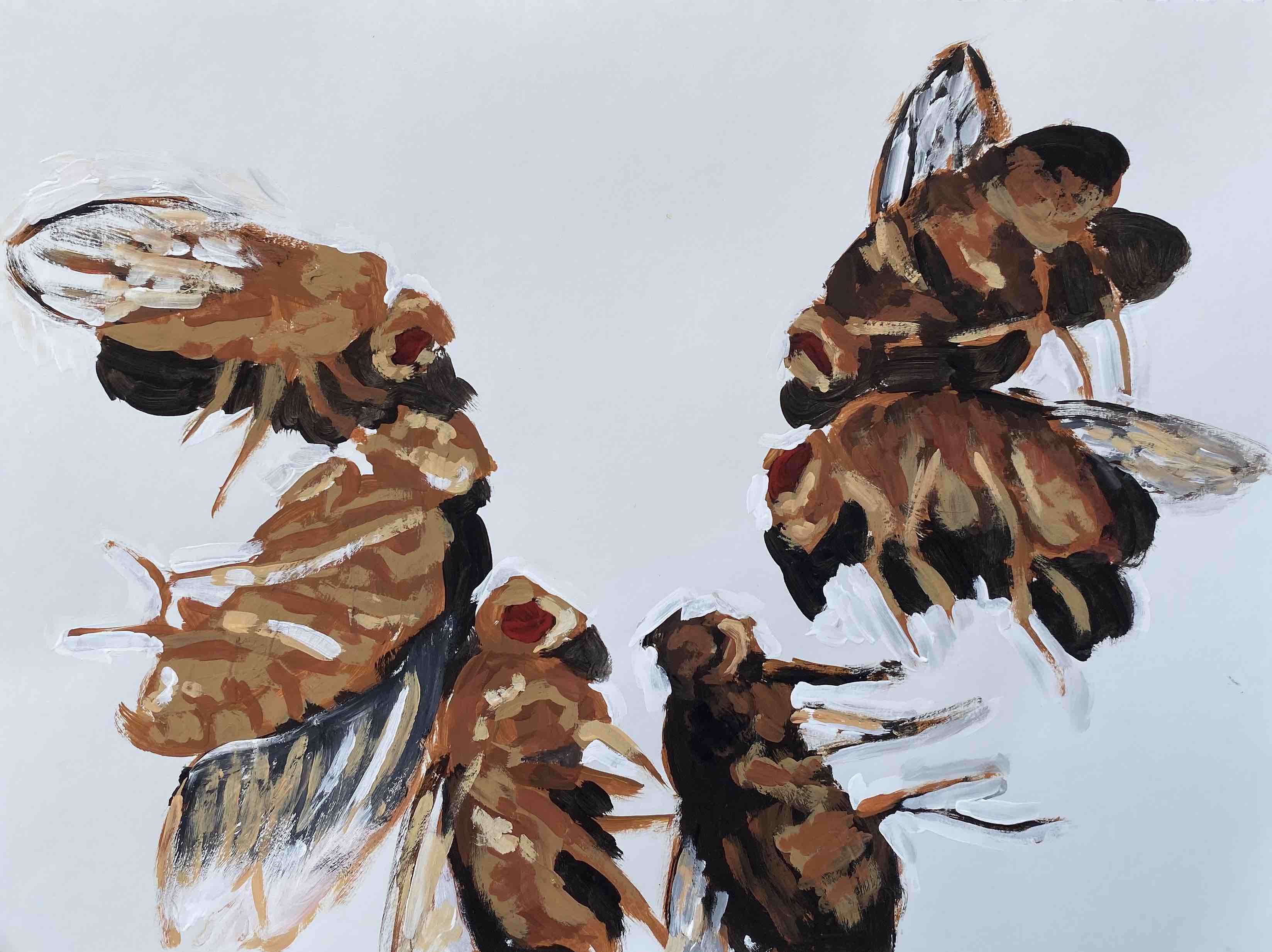 semicircle of dead fruit flies