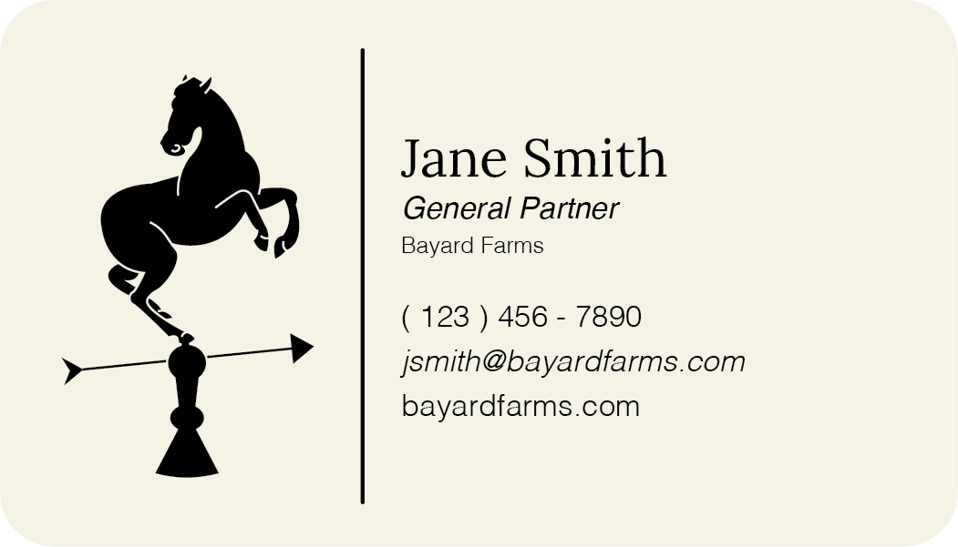 business card back - black horse on weather vane and character information
