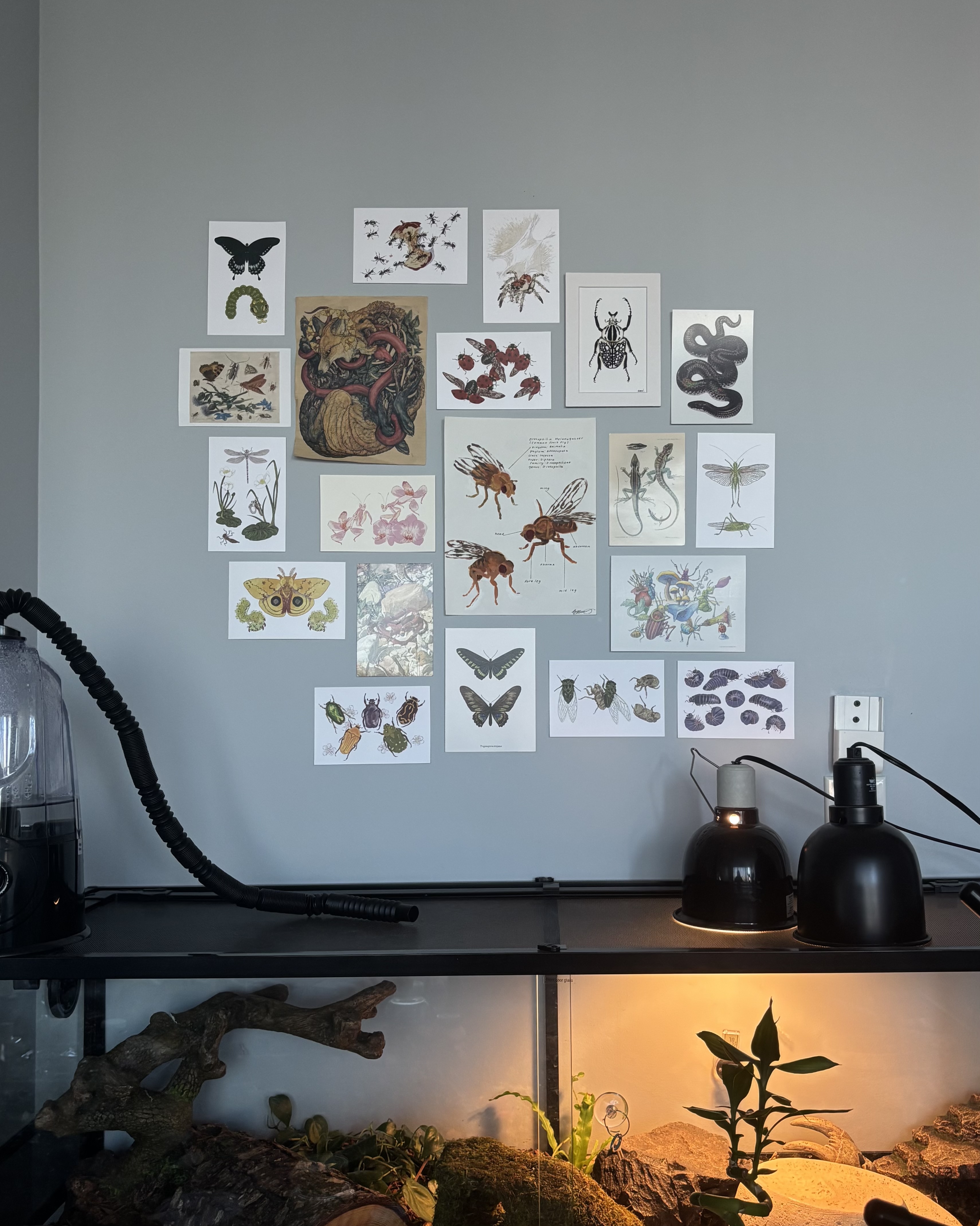 print club among other prints and items on a wall