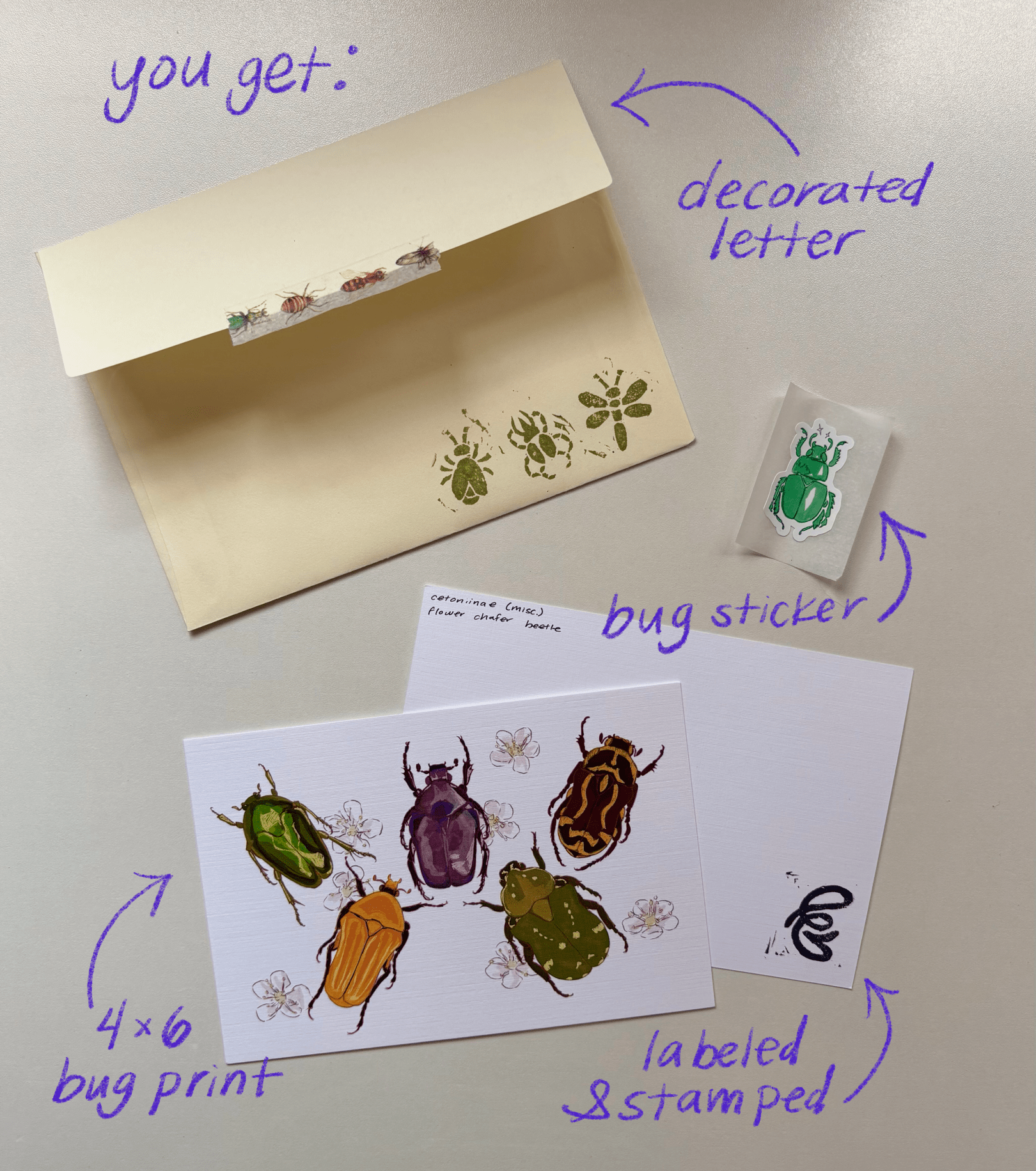 you get: a decorated envelope, a signed and lebeled bug print, and a bug sticker