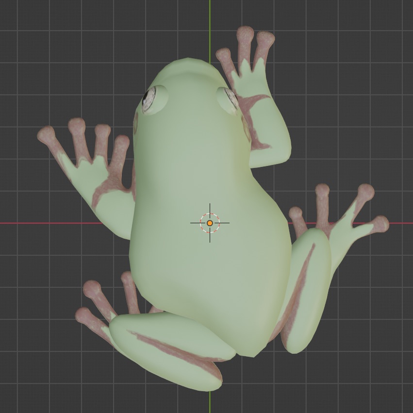 blender screenshot - red eyed tree frog