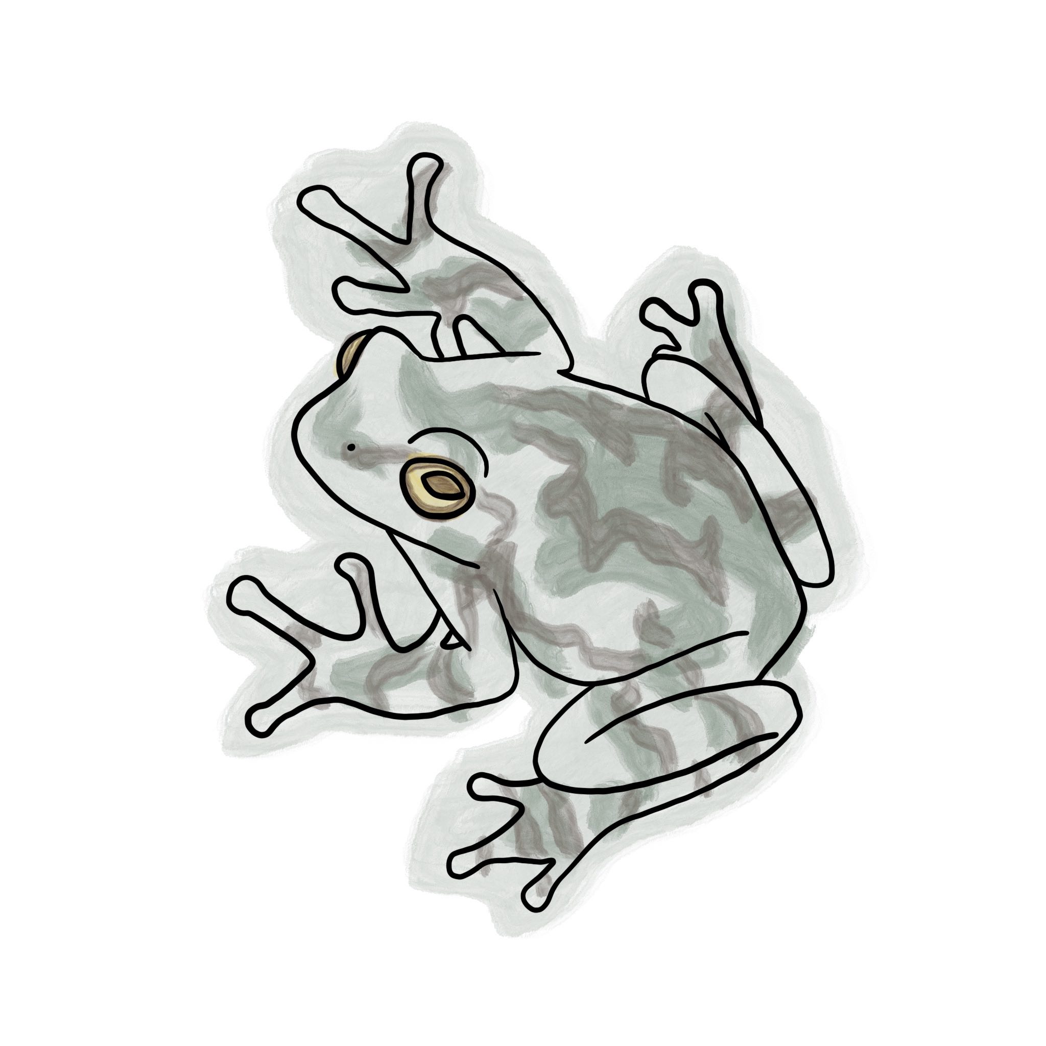 button illustration - gray tree frog