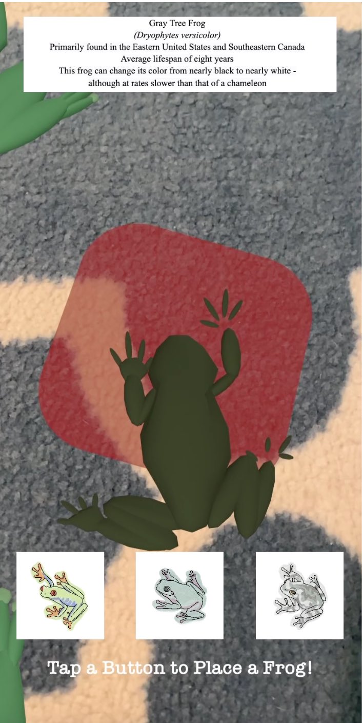 screenshot of the first version of the app showing a frog placed on the screen